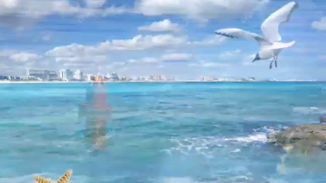 Вокруг Моря смотреть онлайн