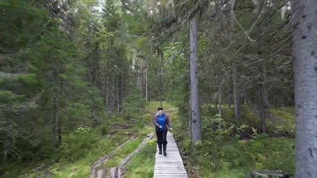 Кенозерский национальный парк,Архангельская область!