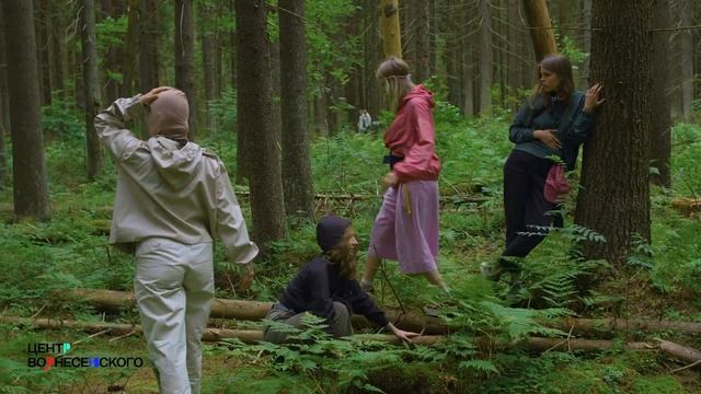 Танцевально-речевая медитация «Как если бы лес» студии СДВИГ смотреть онлайн