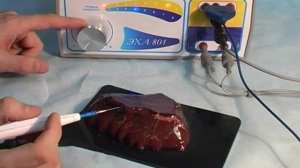 Презентация ЭХА 801