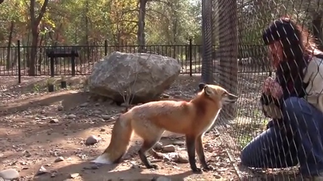 805f870cce284432b53f89d63edc4b59