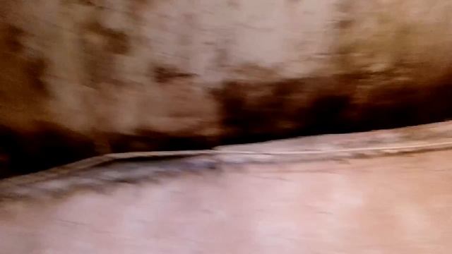 Грибок на потолке ул. Труда 11, комната 127 КСК Чита смотреть онлайн