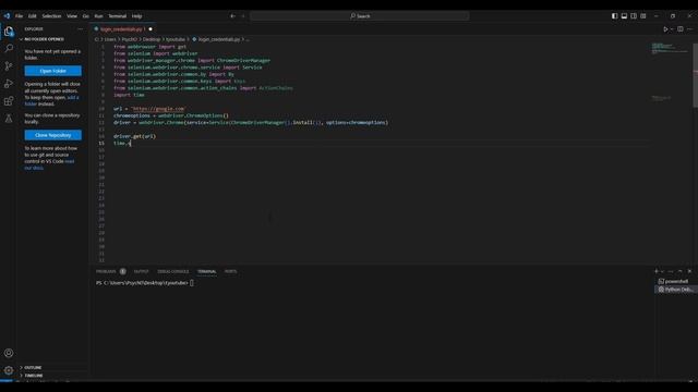 Send keys directly to browser using Selenium with Python смотреть онлайн