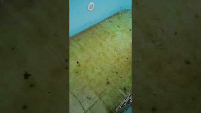 Ремонт бассейна из полипропилена Часть 1 смотреть онлайн