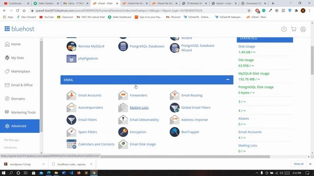 HOW TO HOST YOUR WORDPRESS WEBSITE | LOCALHOST TO LIVE SERVER | Part 6 | WordPress in URDU смотреть онлайн