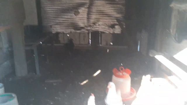 Кому жить у нас хорошо? На что способны свиньи? Приехали археологи. Что с уровнем воды в нашем селе смотреть онлайн