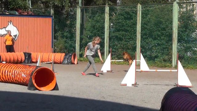 D0 Large-2. Голубь Алиса и выжла Паня смотреть онлайн