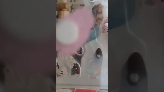 МОИ ПИТОМЦЫ ИХ ДВА.Я НЕ СКАЗАЛ КТО ВТОРОЙ.КТО ВТОРОЙ?