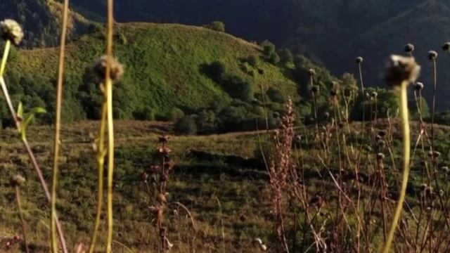 Родина-мать смотреть онлайн