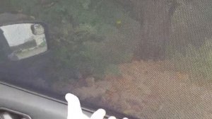 Каркасные шторки EscO [честный ОТЗЫВ спустя 2 ГОДА]