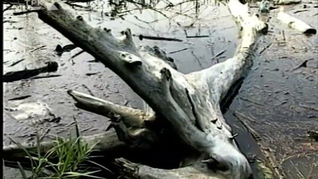 По следам первопроходцев. Часть вторая (архив ГТРК Комсомольск, 2003 год)
