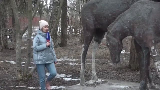 Сегежский парк и его благоустройство смотреть онлайн