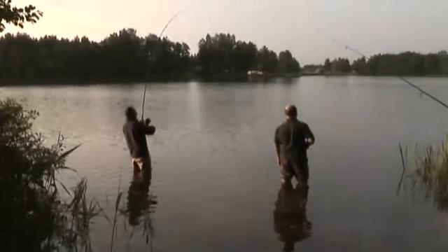 Подсекай, Семёныч! Спортивная ловля карпа в Европе