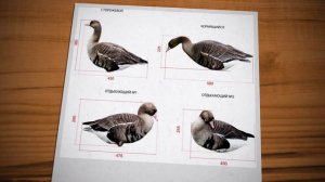 чучела гусей своими руками. размеры чусел. смотреть описание!!!