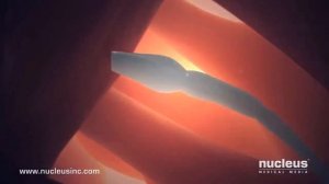 ⛲ ЗАЧАТИЕ РЕБЁНКА (ОПЛОДОТВОРЕНИЕ ЯЙЦЕКЛЕТКИ)