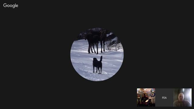 Flat Earth- truth смотреть онлайн