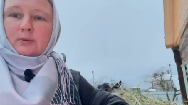 Козел оказался слишком огромный !🐐🤦♀️ смотреть онлайн