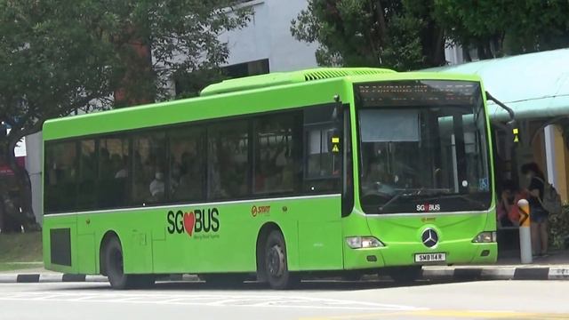 Fun Fact Friday! #78 - How do Singapore Bus Enthusiast Describe These Public Bus Operators as? смотреть онлайн