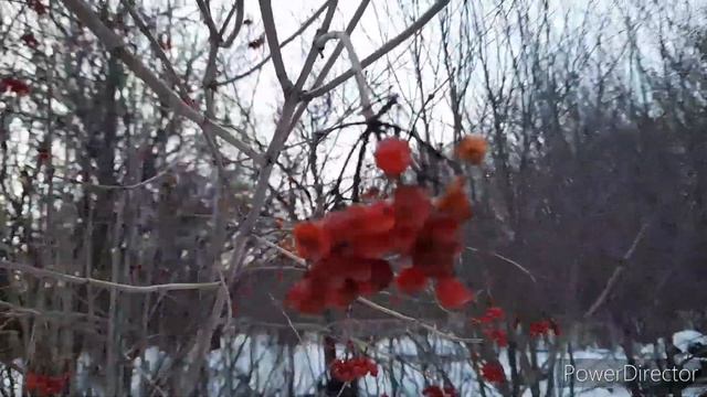 Иду к отшельнику который живёт один в глухой деревне|Застывшее время и мир тишины|Подарок Сан Саныч смотреть онлайн