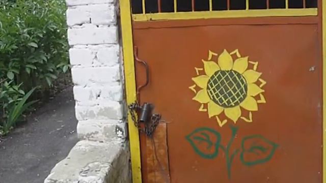 Цветок подсолнуха смотреть онлайн