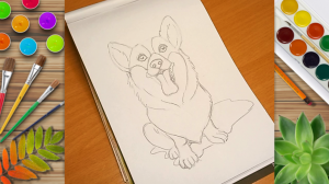 Рисуем очень милого корги. Ч1. Рисунок карандашами