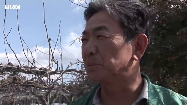 Фукусима. 10 лет спустя