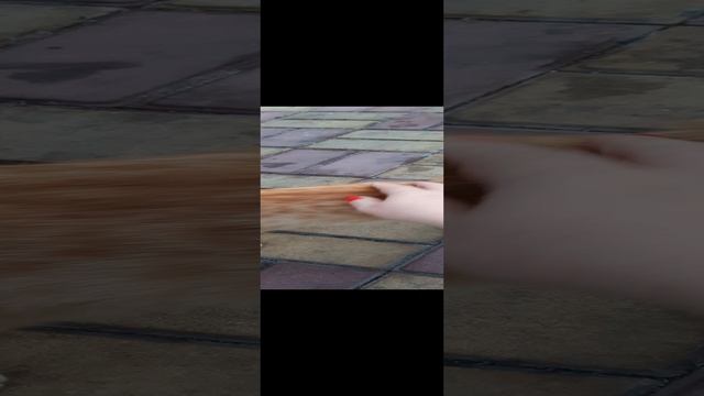 совсем рыжый