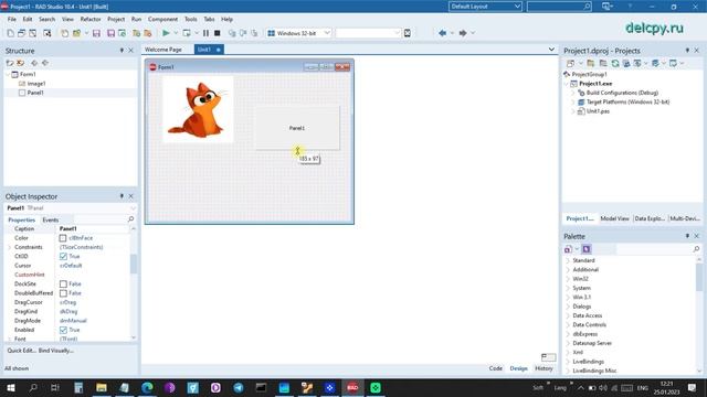 Image Background Delphi. Embarcadero.
