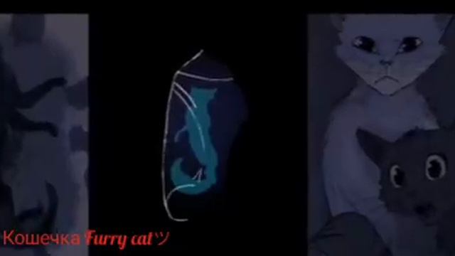 Белка и Ежевика 💖Ревную💖 смотреть онлайн