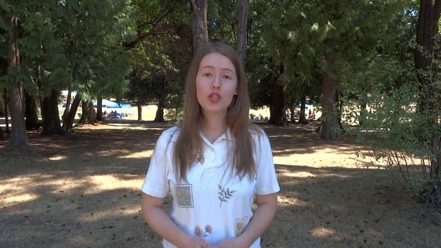 КОСТА РИКА: Где взять денег на переезд? / Работа в интернете смотреть онлайн
