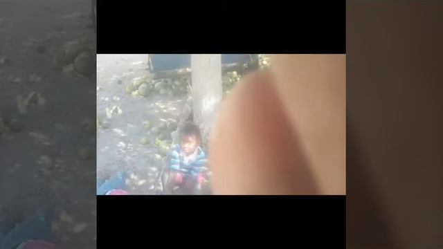 Pmx the Master смотреть онлайн