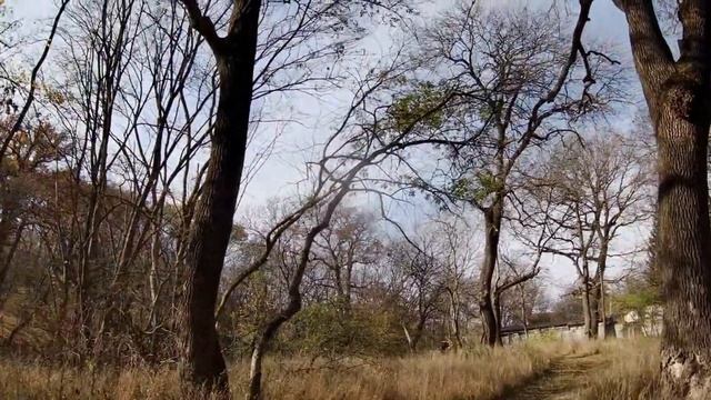 Ртищев пруд. История и артефакты! смотреть онлайн