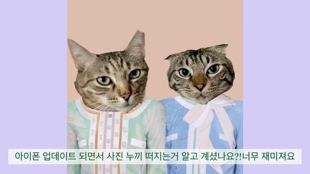 SUB.VLOG|신혼 집밥 요리 브이로그|삼겹살김밥.차돌김밥.미트소스.치즈밥.김치 삼겹살.곱창에 소주 먹는 일상