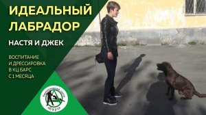 ОТЗЫВ НАСТЯ и ЛАБРАДОР ДЖЕК КЦ БАРС
