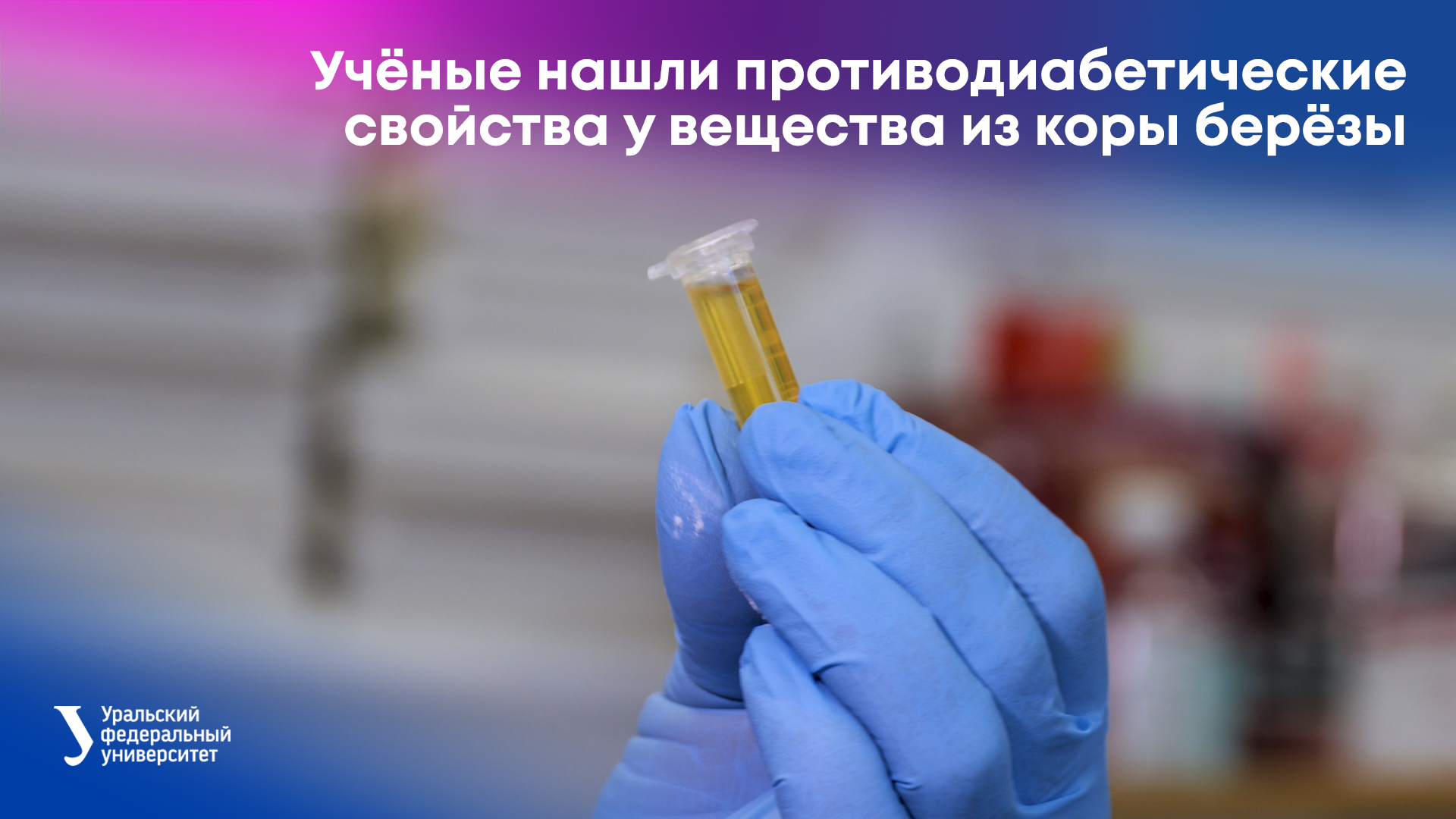 Учёные нашли противодиабетические свойства у вещества из коры берёзы смотреть онлайн