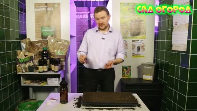 Выращивание рассады без солнечного света смотреть онлайн