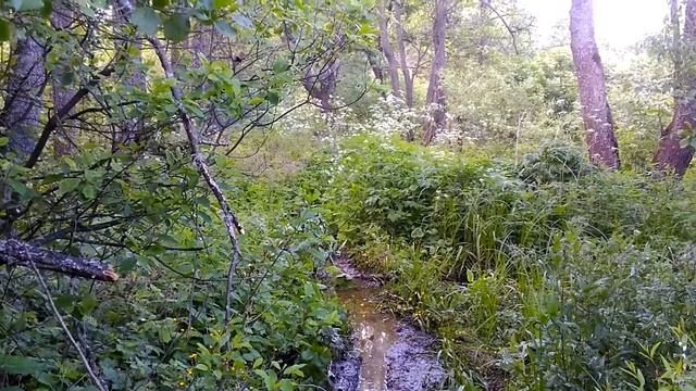 Эндуро на Восходах смотреть онлайн