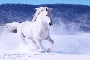 Три белых коня песня с субтитрами Чародеи ? Cantofilm ? Красивые зимние пейзажи