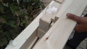 Как отличить липу от осины?