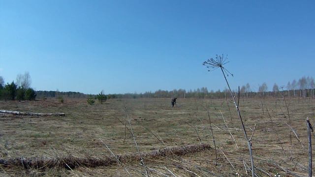Ловлю клещей, неудачно в этот раз смотреть онлайн