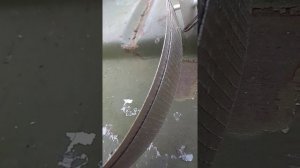 Ремонт ТЭНа термопота.