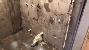 Ремонт ванной в панельной девятиэтажке