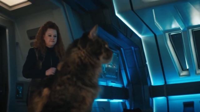 Странные привычки и поведение кошек - подражание человеку!