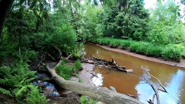 парк Софиевка, Ленинградская область, Всеволожск смотреть онлайн