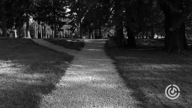 Crazy Island Festival 2020: Step onto the island of madness смотреть онлайн