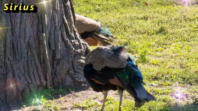 29 ноября – Матвеев день: что категорически нельзя делать смотреть онлайн