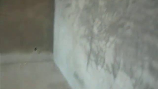 Делаем Вместе