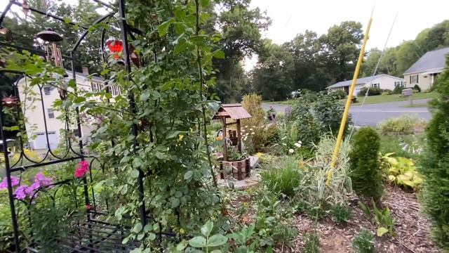 🌺🐝🌸мой «🪴ТАИНСТВЕННЫЙ САД🪴»25июня2022год🌸🪴🌺 смотреть онлайн