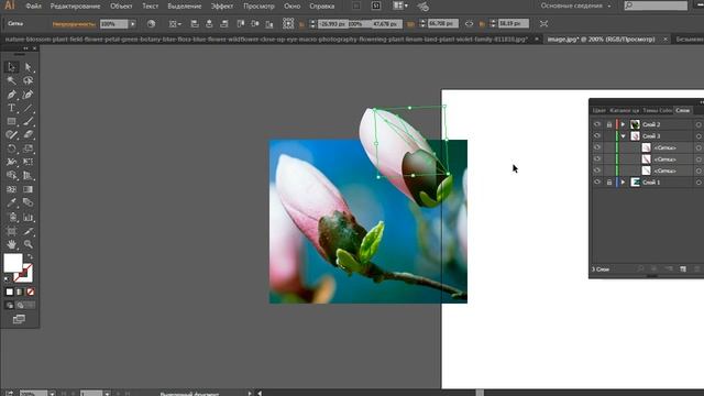 Vector illustration. How to draw a flower in Adobe Illustrator. Как нарисовать цветок. смотреть онлайн