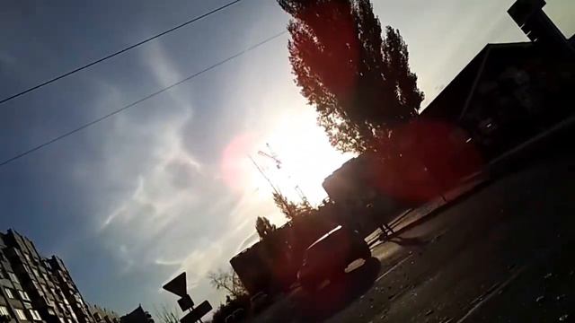 Цветы хризантемы, выбираю. смотреть онлайн